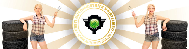 automeistrid_lead.png